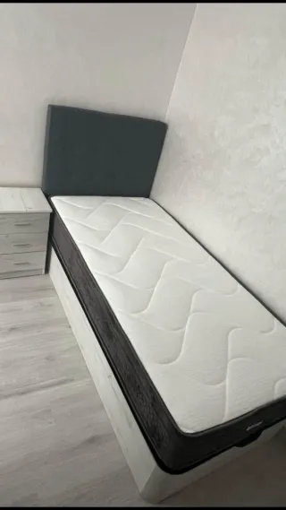 Canape  canape canape canape canape canape canape