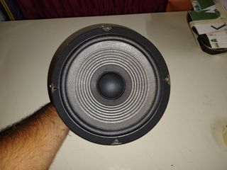 Woofer JBL TLX8 mod. 65434 da 25Cm