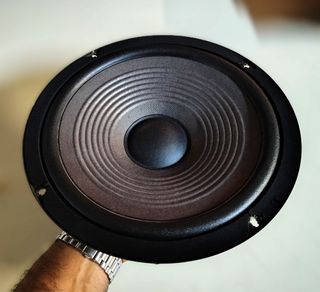 Woofer JBL TLX8 mod. 65434 da 25Cm