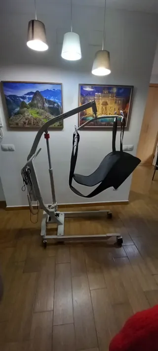 Grua elevacion minusvalidos