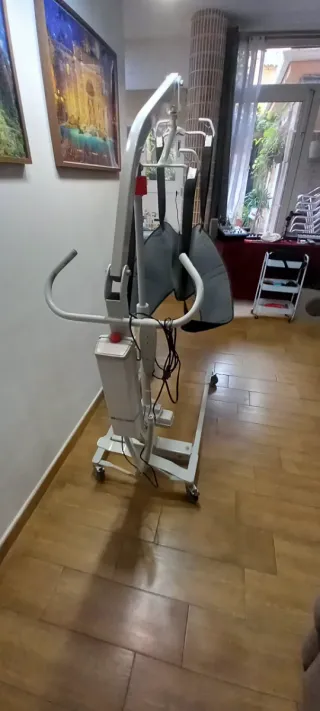 Grua elevacion minusvalidos