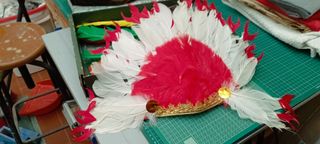 Pelucas y plumas indio disfraz carnaval