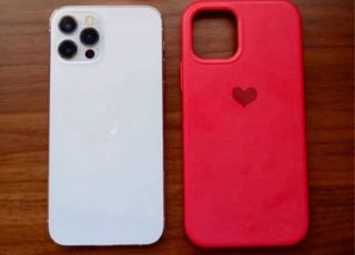 iPhone 12 Pro 256GB Plata