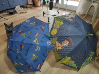 Paraguas infantil Paw Patrol y Buzz Lightyear