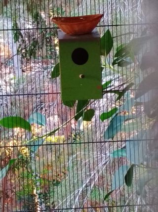 Caja nido y refugio para aves en voladero