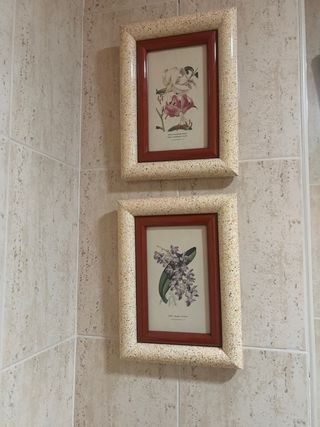 Dos cuadros decorativos flores.
