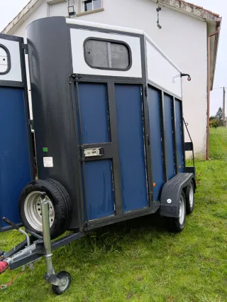 Remolque caballos 2 plazas