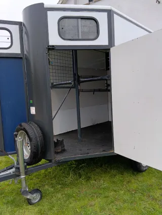 Remolque caballos 2 plazas