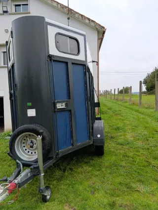 Remolque caballos 2 plazas