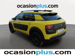Citroen C4 Cactus BlueHDi 100 Shine 73 kW (100 CV)