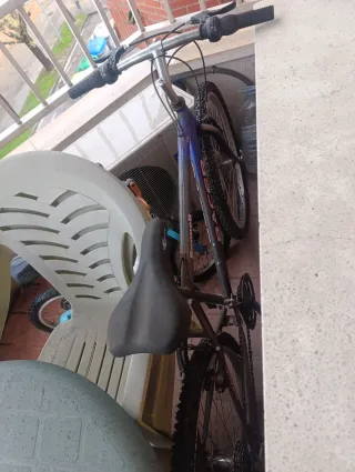 Bicicleta de adulto
