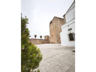 Edificio en venta en Olivenza