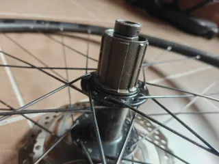 Llantas Gravel 700 Alexrims (discos 6 tornillos)