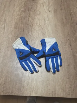 Guantes de Nieve Azules y Blancos