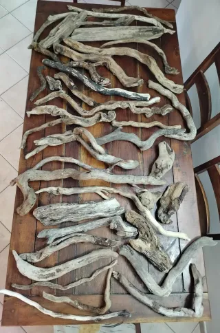 Legni da mareggiata -