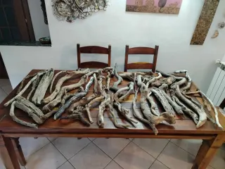 Legni da mareggiata -