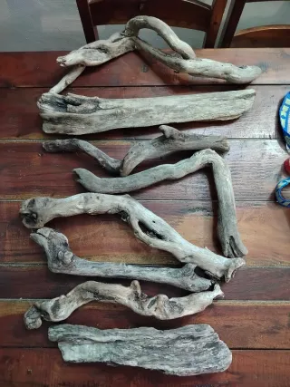 Legni da mareggiata -