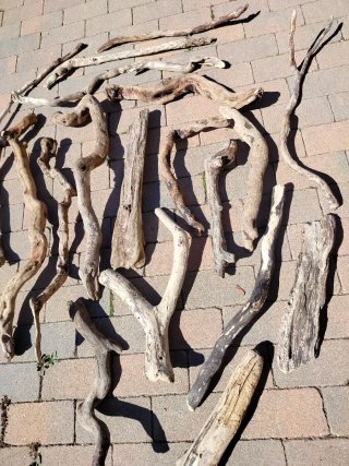 Legni da mareggiata -