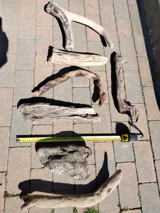 Legni da mareggiata -