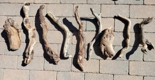 Legni da mareggiata -