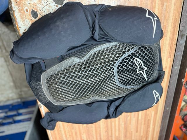 Peto Alpinestars Bionic Pro V3