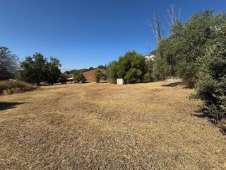 Terreno en venta en El Higuerón en Córdoba