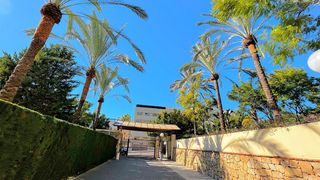 Piso en alquiler en El Mayorazgo - El Limonar en Málaga