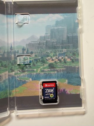 Zelda Echoes of Wisdom Nintendo Switch