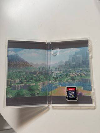 Zelda Echoes of Wisdom Nintendo Switch