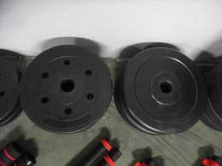 LOTE DE MUSCULACIÓN