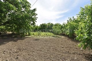 Casa en venta en Ronda
