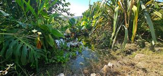 Chalet en venta en Tomiño