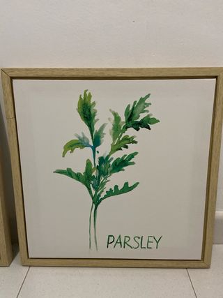 Cuadros Decorativos Hojas 40x40cm