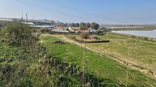 Terreno en venta en Palos de la Frontera
