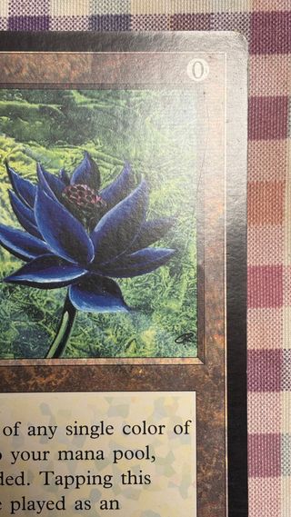 Black Lotus Oversized 6x9