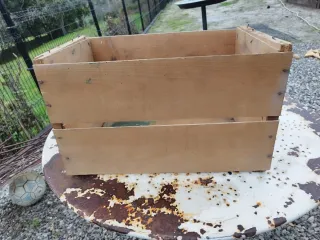 Caja antigua de naranjas