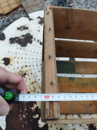 Caja antigua de naranjas