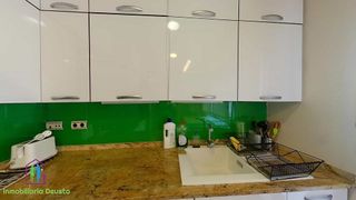 Piso en alquiler en San Pedro de Deusto-La Ribera en Bilbao