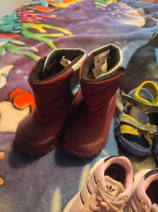 Lote Zapatos Niños Talla 19-25