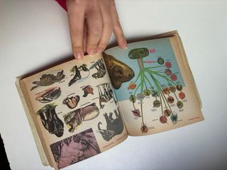 Diccionario ilustrado Sopena – libro vintage