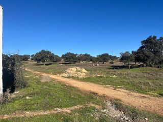 Solar en venta en Gerena