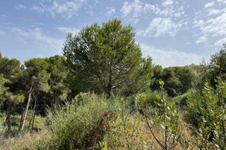 Solar en venta en Sotogrande Alto en San Roque