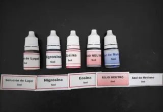 Pack 5 Colorantes Microscopia