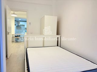 Piso en alquiler en Carolinas Bajas en Alicante