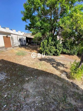 Terreno en venta en Almensilla