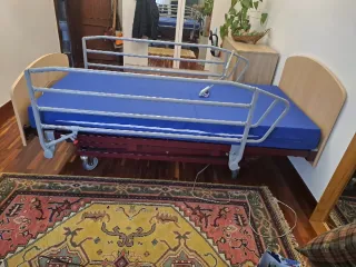Cama articulada médica