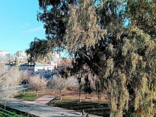 Piso en alquiler en Ciudad Universitaria en Madrid