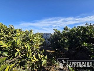 Terreno en venta en Zona Urbanizaciones en Alzira