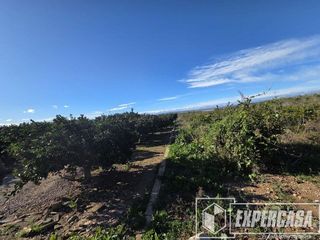 Terreno en venta en Zona Urbanizaciones en Alzira
