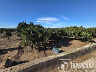 Terreno en venta en Zona Urbanizaciones en Alzira